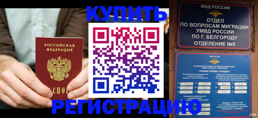 прописка 2026 в Зее